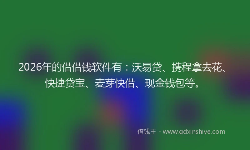 2026年的借借钱软件有：沃易贷、携程拿去花、快捷贷宝、麦芽快借、现金钱包等。