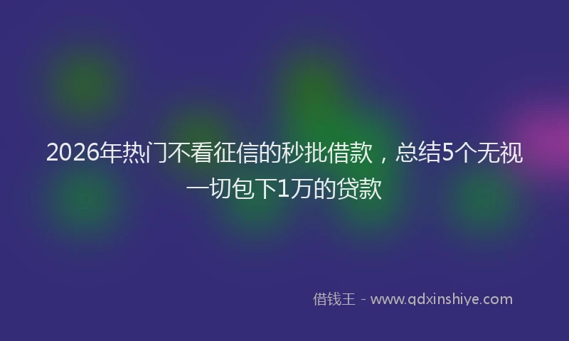 2026年热门不看征信的秒批借款，总结5个无视一切包下1万的贷款