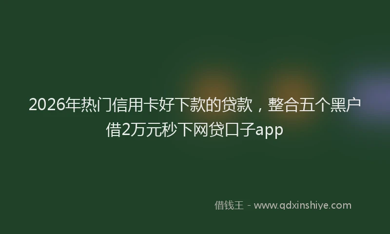2026年热门信用卡好下款的贷款，整合五个黑户借2万元秒下网贷口子app