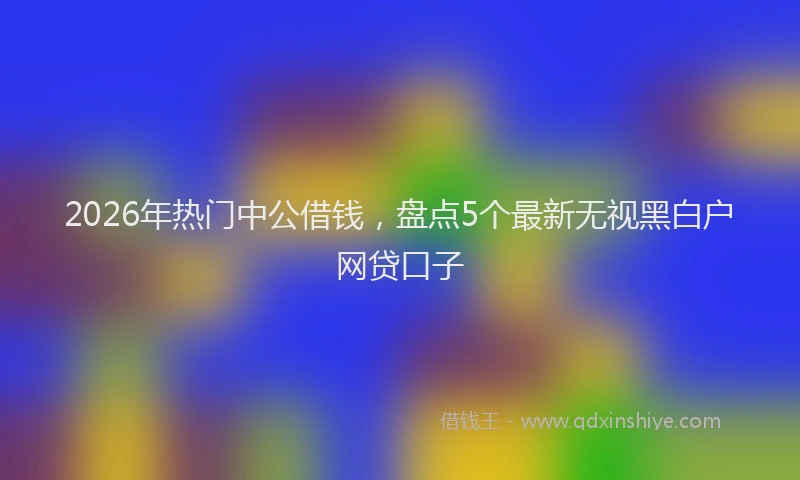 2026年热门中公借钱，盘点5个最新无视黑白户网贷口子