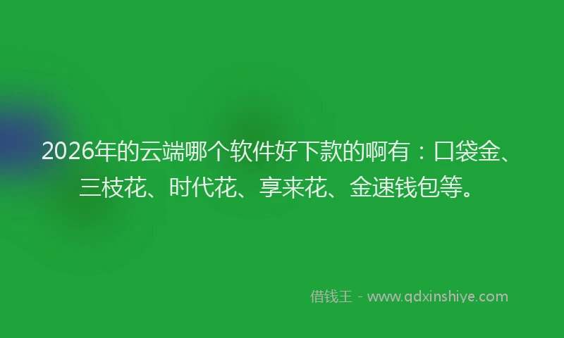 2026年的云端哪个软件好下款的啊有：口袋金、三枝花、时代花、享来花、金速钱包等。