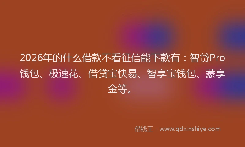 2026年的什么借款不看征信能下款有：智贷Pro钱包、极速花、借贷宝快易、智享宝钱包、蒙享金等。