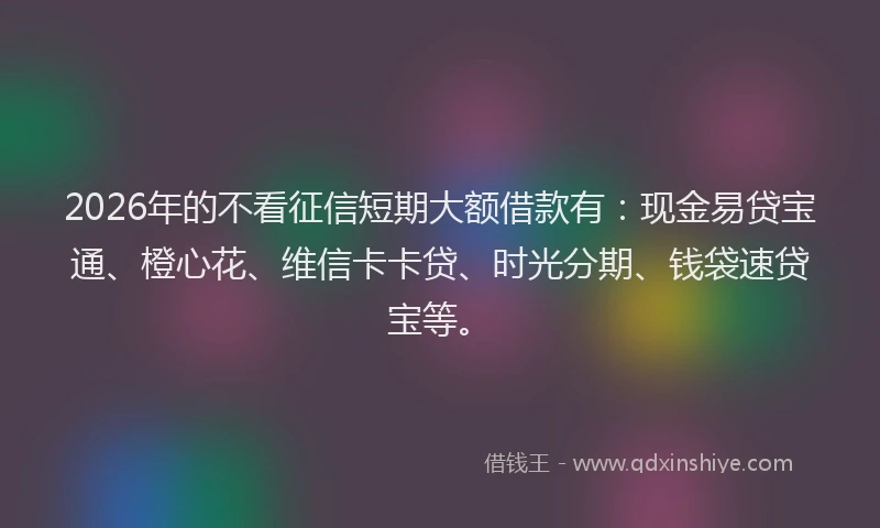2026年的不看征信短期大额借款有：现金易贷宝通、橙心花、维信卡卡贷、时光分期、钱袋速贷宝等。