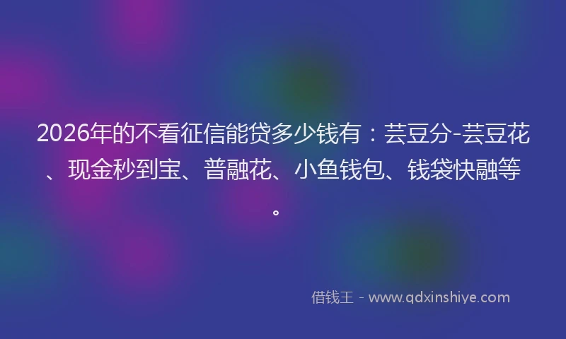 2026年的不看征信能贷多少钱有：芸豆分-芸豆花、现金秒到宝、普融花、小鱼钱包、钱袋快融等。