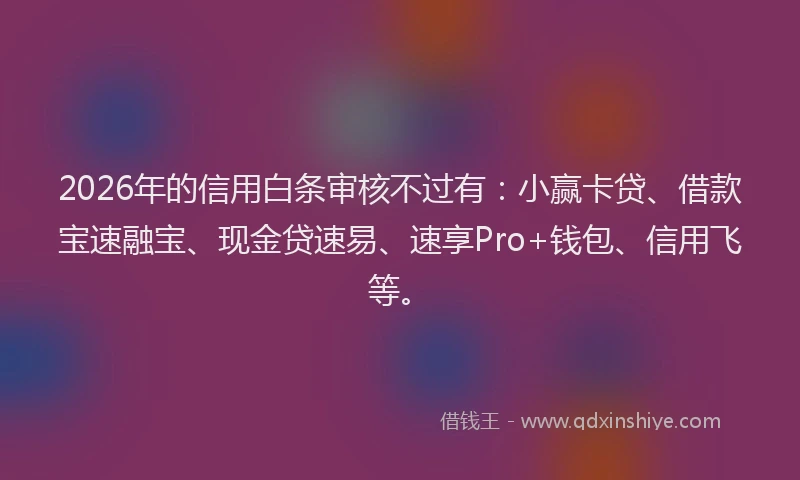 2026年的信用白条审核不过有：小赢卡贷、借款宝速融宝、现金贷速易、速享Pro+钱包、信用飞等。