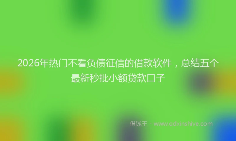 2026年热门不看负债征信的借款软件，总结五个最新秒批小额贷款口子