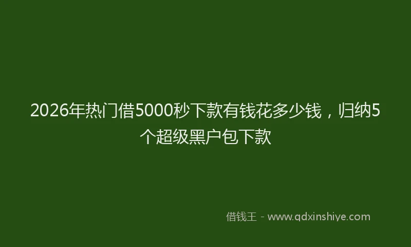 2026年热门借5000秒下款有钱花多少钱，归纳5个超级黑户包下款