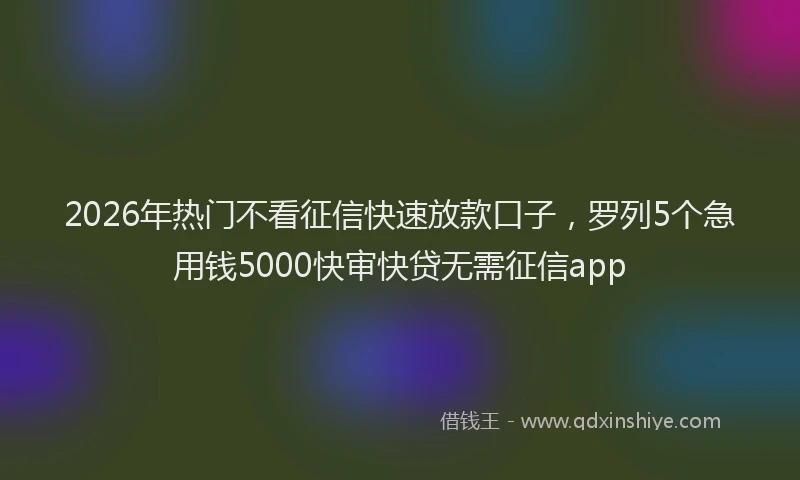 2026年热门不看征信快速放款口子，罗列5个急用钱5000快审快贷无需征信app