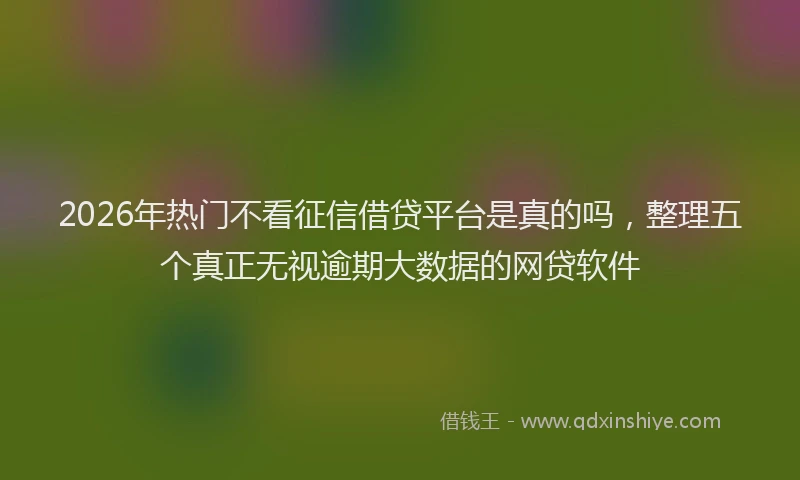 2026年热门不看征信借贷平台是真的吗，整理五个真正无视逾期大数据的网贷软件