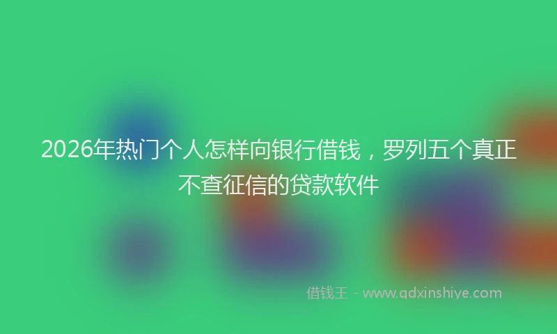 2026年热门个人怎样向银行借钱，罗列五个真正不查征信的贷款软件