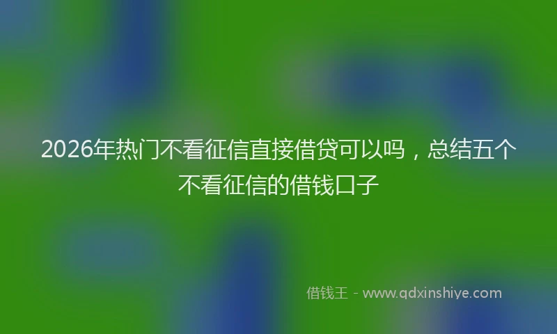 2026年热门不看征信直接借贷可以吗，总结五个不看征信的借钱口子