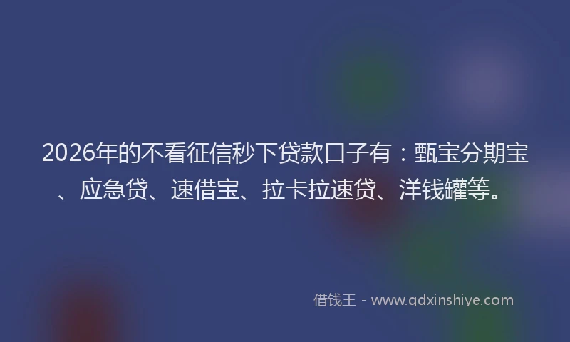2026年的不看征信秒下贷款口子有：甄宝分期宝、应急贷、速借宝、拉卡拉速贷、洋钱罐等。