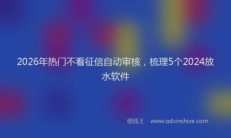 2026年热门不看征信自动审核，梳理5个2024放水软件