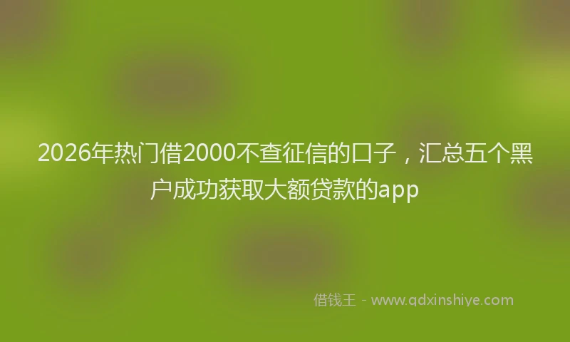 2026年热门借2000不查征信的口子，汇总五个黑户成功获取大额贷款的app