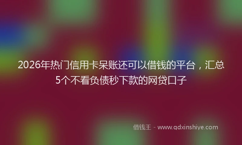 2026年热门信用卡呆账还可以借钱的平台，汇总5个不看负债秒下款的网贷口子
