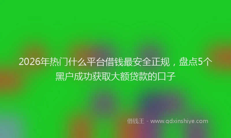 2026年热门什么平台借钱最安全正规，盘点5个黑户成功获取大额贷款的口子