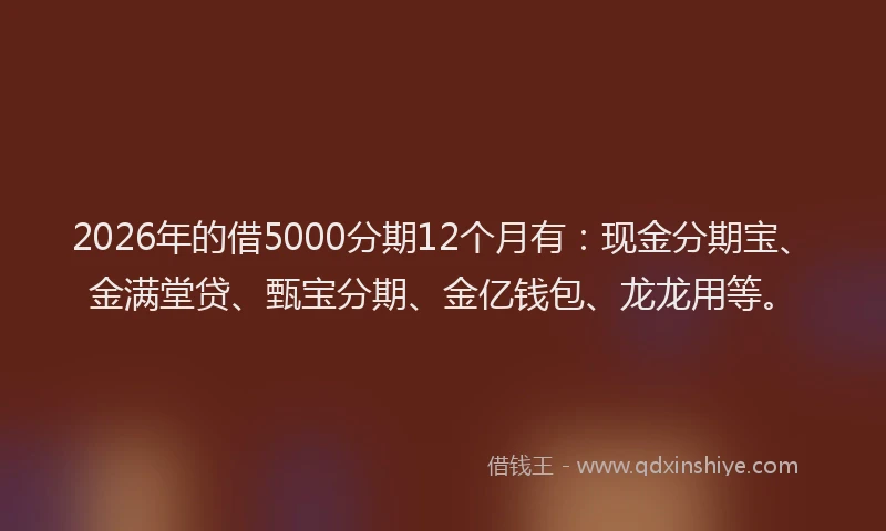 2026年的借5000分期12个月有：现金分期宝、金满堂贷、甄宝分期、金亿钱包、龙龙用等。