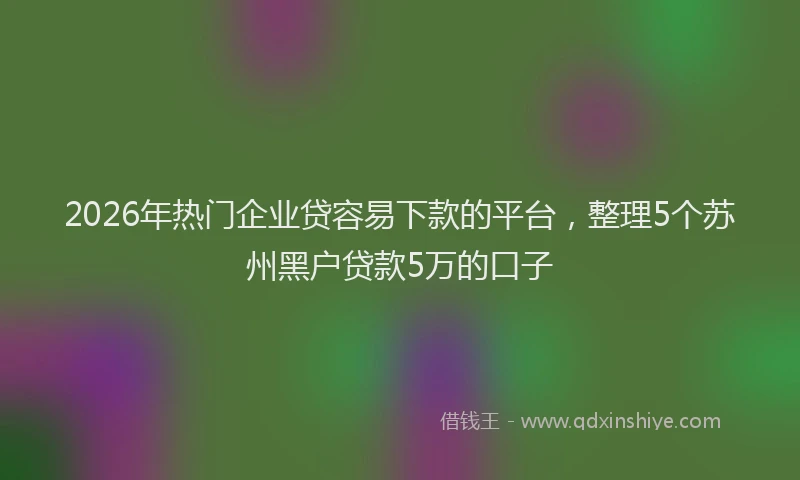 2026年热门企业贷容易下款的平台，整理5个苏州黑户贷款5万的口子