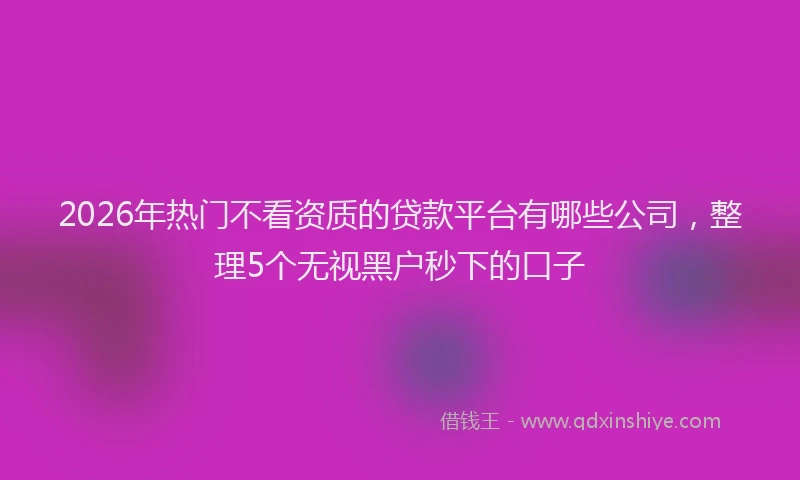 2026年热门不看资质的贷款平台有哪些公司，整理5个无视黑户秒下的口子