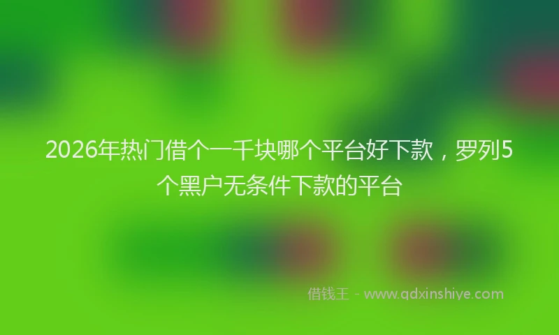 2026年热门借个一千块哪个平台好下款，罗列5个黑户无条件下款的平台