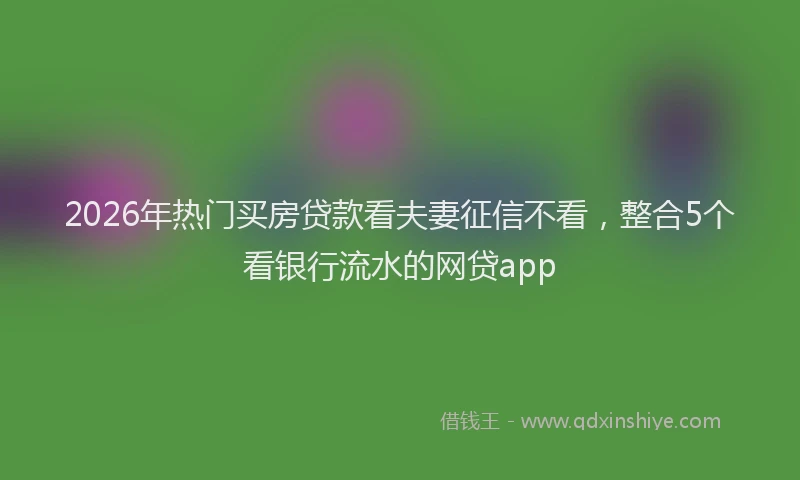 2026年热门买房贷款看夫妻征信不看，整合5个看银行流水的网贷app
