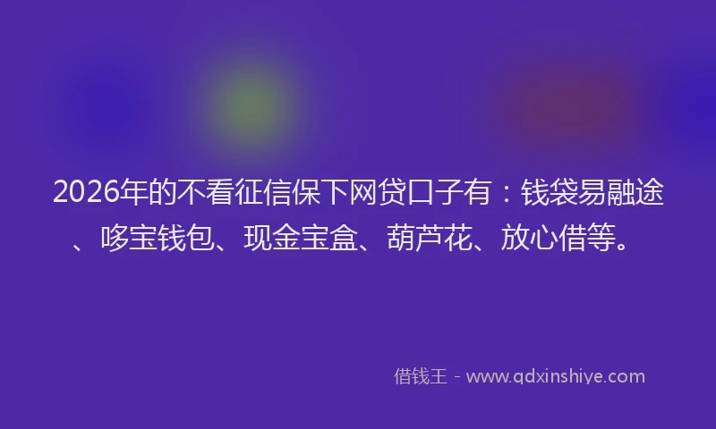 2026年的不看征信保下网贷口子有：钱袋易融途、哆宝钱包、现金宝盒、葫芦花、放心借等。