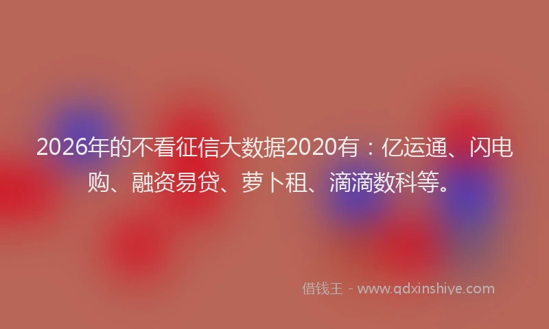 2026年的不看征信大数据2020有：亿运通、闪电购、融资易贷、萝卜租、滴滴数科等。