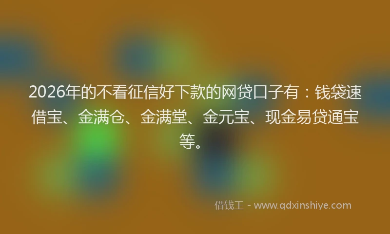 2026年的不看征信好下款的网贷口子有：钱袋速借宝、金满仓、金满堂、金元宝、现金易贷通宝等。