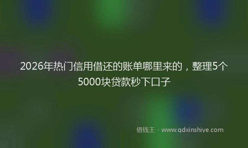 2026年热门信用借还的账单哪里来的，整理5个5000块贷款秒下口子