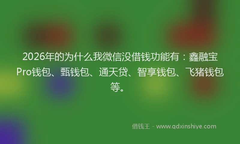 2026年的为什么我微信没借钱功能有：鑫融宝Pro钱包、甄钱包、通天贷、智享钱包、飞猪钱包等。