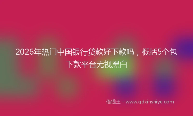 2026年热门中国银行贷款好下款吗，概括5个包下款平台无视黑白