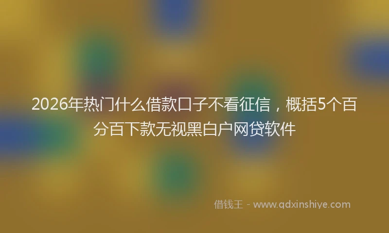 2026年热门什么借款口子不看征信，概括5个百分百下款无视黑白户网贷软件