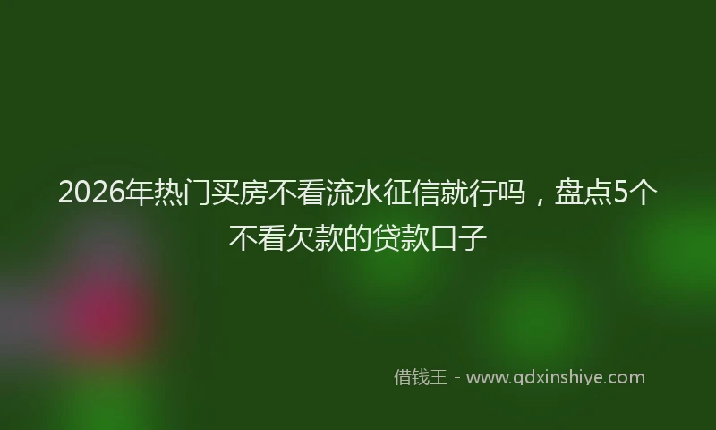 2026年热门买房不看流水征信就行吗，盘点5个不看欠款的贷款口子