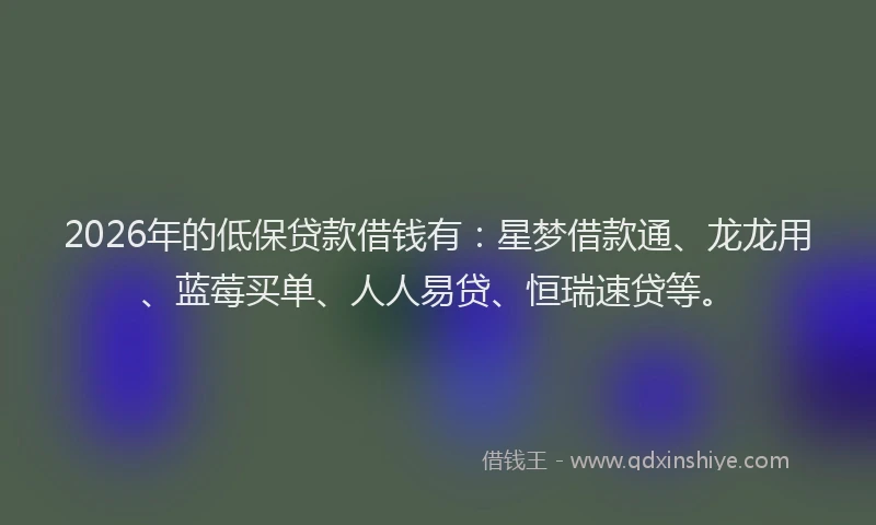 2026年的低保贷款借钱有：星梦借款通、龙龙用、蓝莓买单、人人易贷、恒瑞速贷等。