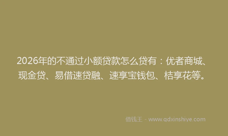 2026年的不通过小额贷款怎么贷有：优者商城、现金贷、易借速贷融、速享宝钱包、桔享花等。