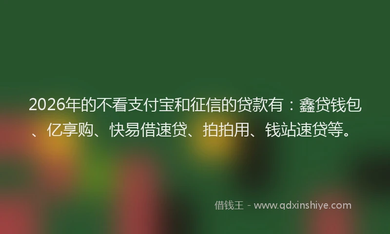 2026年的不看支付宝和征信的贷款有：鑫贷钱包、亿享购、快易借速贷、拍拍用、钱站速贷等。