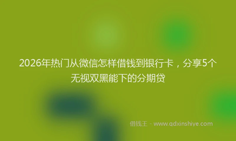 2026年热门从微信怎样借钱到银行卡，分享5个无视双黑能下的分期贷
