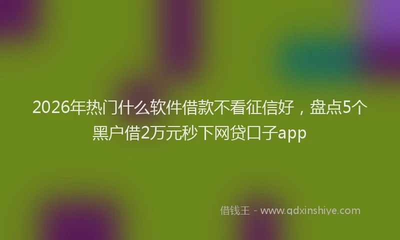 2026年热门什么软件借款不看征信好，盘点5个黑户借2万元秒下网贷口子app