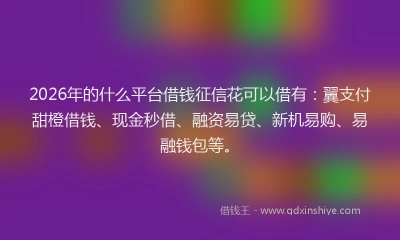 2026年的什么平台借钱征信花可以借有：翼支付甜橙借钱、现金秒借、融资易贷、新机易购、易融钱包等。