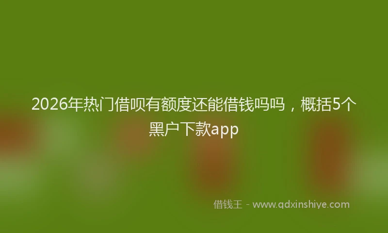 2026年热门借呗有额度还能借钱吗吗，概括5个黑户下款app
