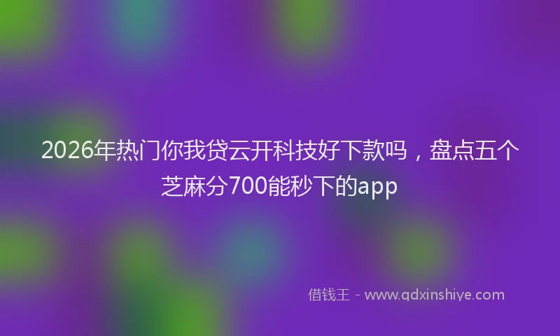 2026年热门你我贷云开科技好下款吗，盘点五个芝麻分700能秒下的app
