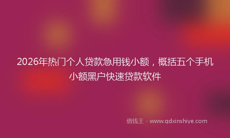 2026年热门个人贷款急用钱小额，概括五个手机小额黑户快速贷款软件