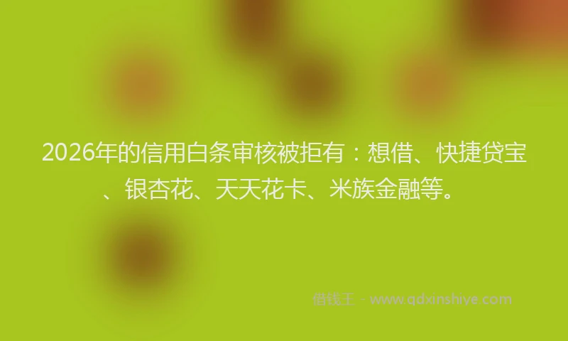 2026年的信用白条审核被拒有：想借、快捷贷宝、银杏花、天天花卡、米族金融等。