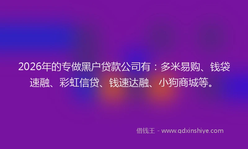 2026年的专做黑户贷款公司有：多米易购、钱袋速融、彩虹信贷、钱速达融、小狗商城等。