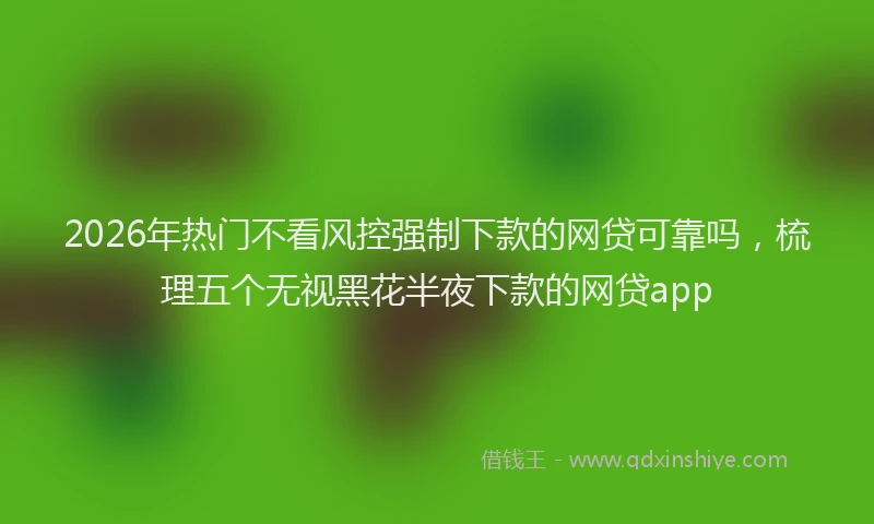2026年热门不看风控强制下款的网贷可靠吗，梳理五个无视黑花半夜下款的网贷app