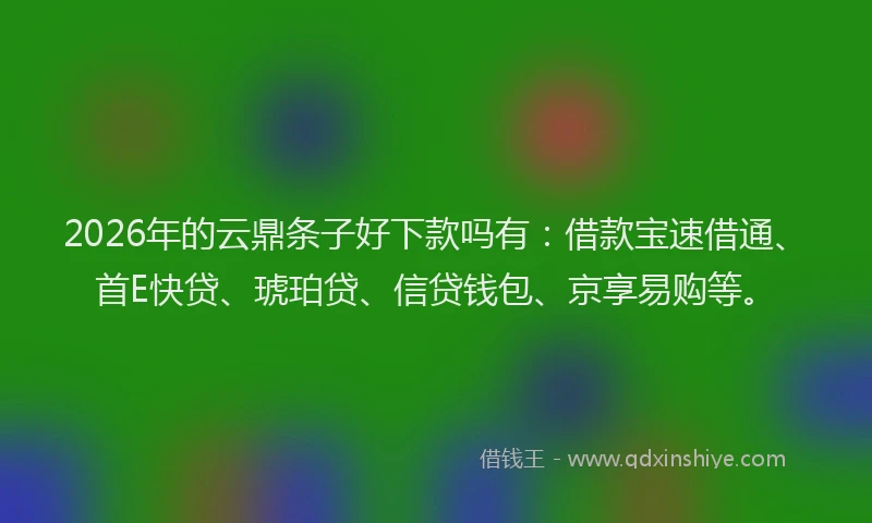 2026年的云鼎条子好下款吗有：借款宝速借通、首E快贷、琥珀贷、信贷钱包、京享易购等。