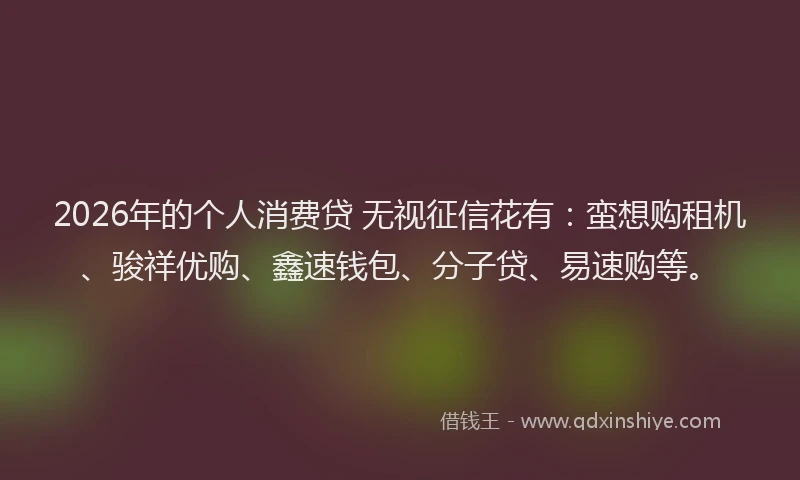 2026年的个人消费贷 无视征信花有：蛮想购租机、骏祥优购、鑫速钱包、分子贷、易速购等。