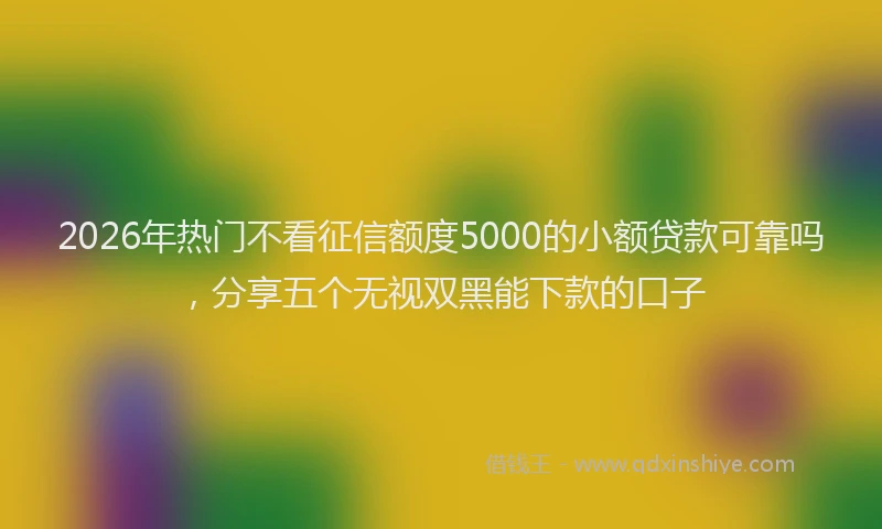 2026年热门不看征信额度5000的小额贷款可靠吗，分享五个无视双黑能下款的口子