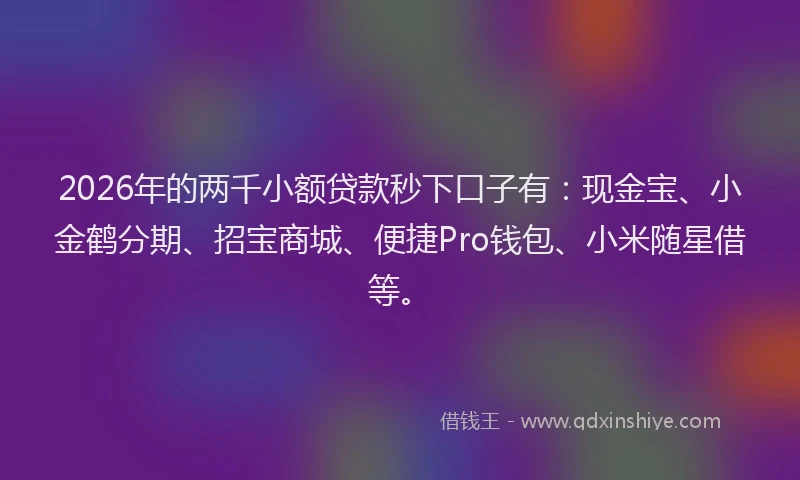 2026年的两千小额贷款秒下口子有：现金宝、小金鹤分期、招宝商城、便捷Pro钱包、小米随星借等。