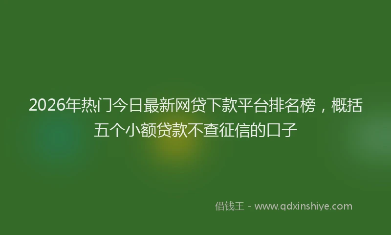2026年热门今日最新网贷下款平台排名榜，概括五个小额贷款不查征信的口子